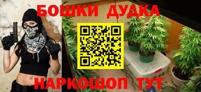 крисы Будённовск