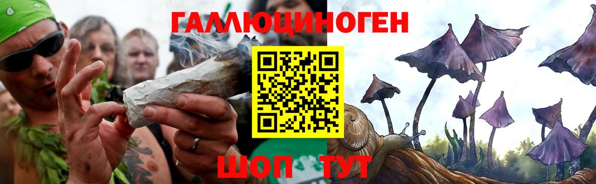 Псилоцибиновые грибы мухоморы  Вход с VPN  Малгобек 