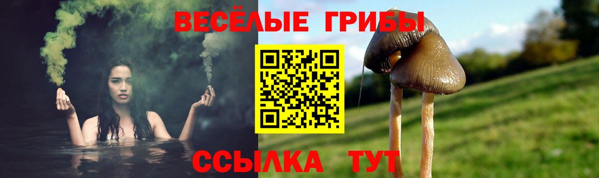 Галлюциногенные грибы Cubensis Малгобек